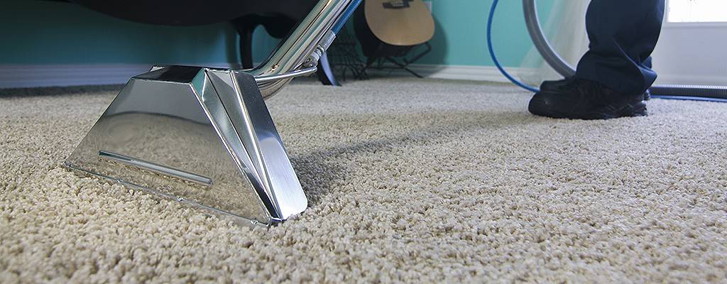 Carpet Cleaning Service Gold Coast Pauls Clean King