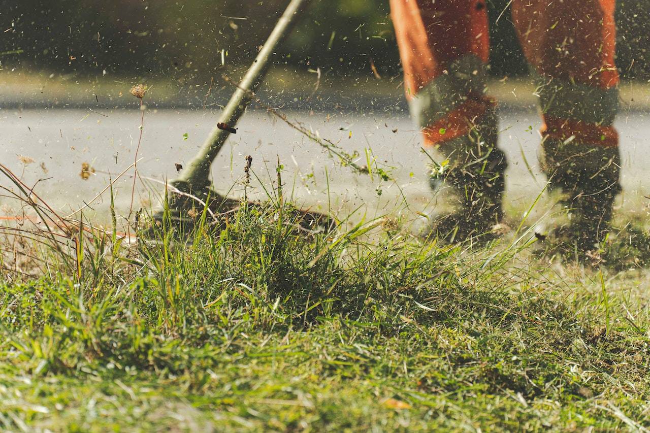 Lawn Mowing - Garden Maintenance Gold Coast - Pauls Clean King